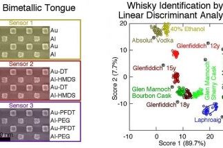 Artificial tongue