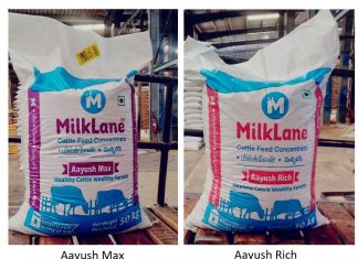 cattle feed