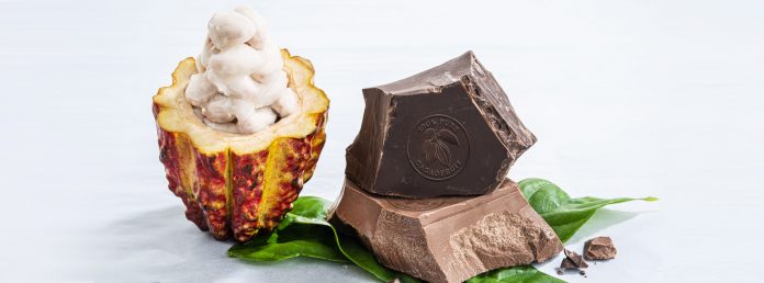Barry Callebaut launches whole fruit chocolate made from 100% pure cacao fruit Barry Callebaut