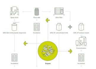Novozymes