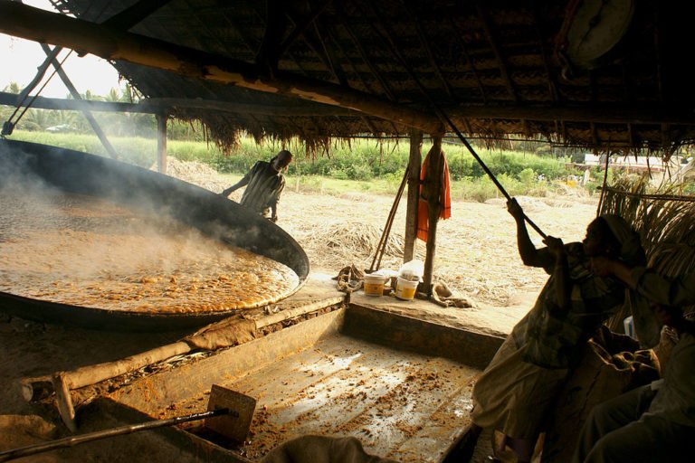 Jaggery a sugar substitute IndiFoodBev