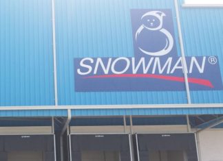 Snowman