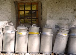 Dairy
