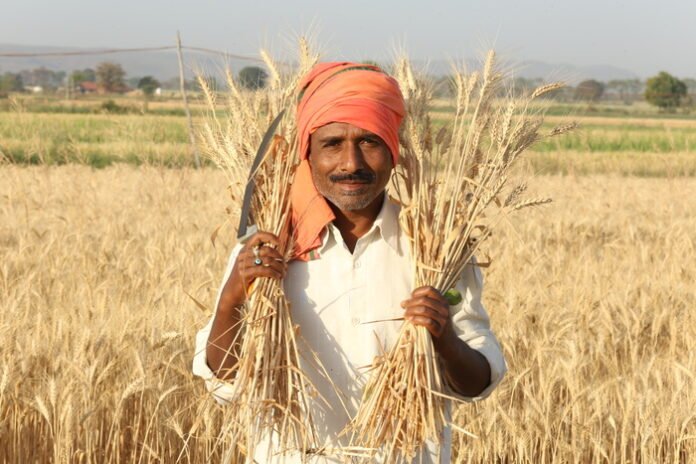 Kellogg (World Food Day Video Stills) Kellogg