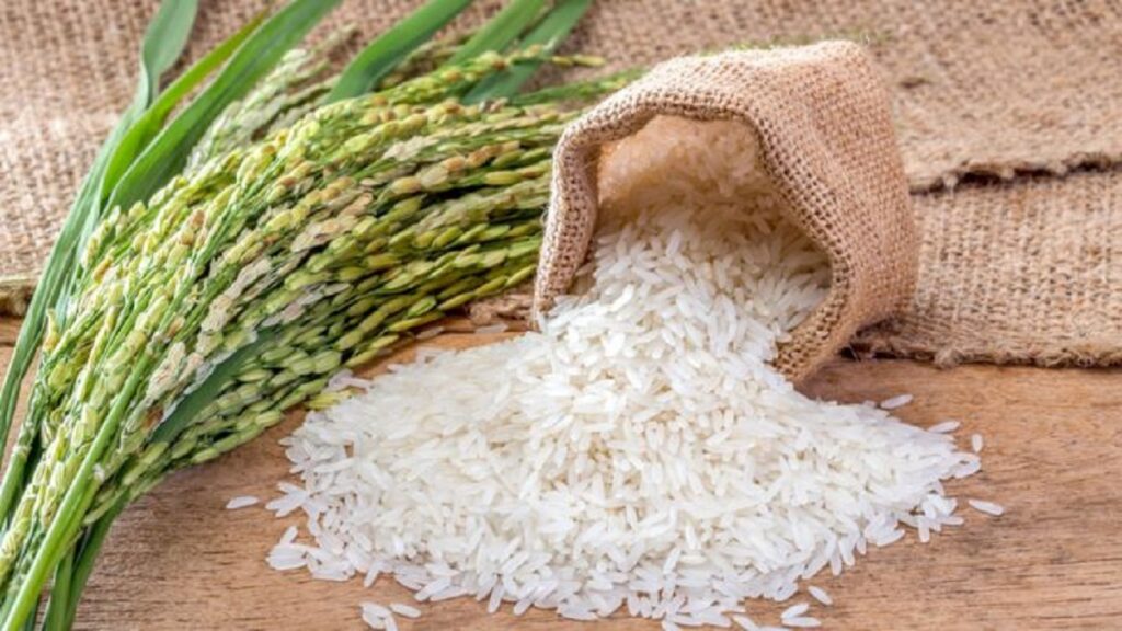 Indian basmati rice GI tag and eliminating pesticides