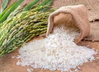 Basmati Rice
