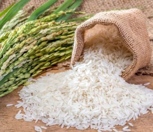 Basmati Rice