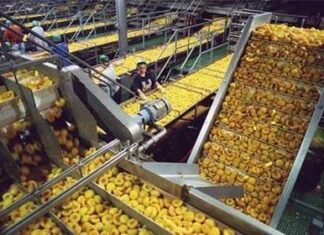 Food Processing