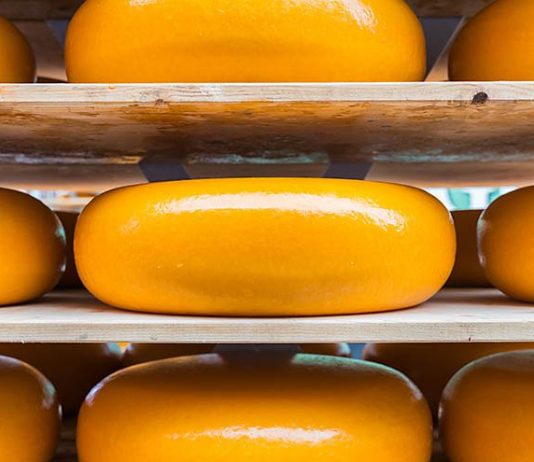 Tetra Pak introduces 14 state-of-the-art lines for cheese manufacturers