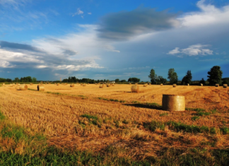 Egreens sets up INR 150 million agritech early-stage fund