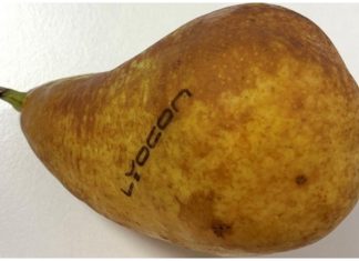 Natural branding of fresh fruit and vegetables using Raylase's blue laser Photo Raylase
