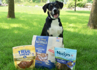 General Mills acquires Tyson Foods’ pet treats business