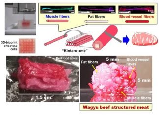 3D Wagyu beef