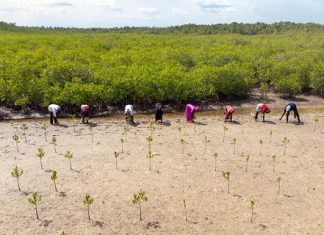 IFAD calls to world leaders for increasing wages of rural small-scale farmers