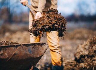 Reduce odor of manure storage with BCP80 manure treatment