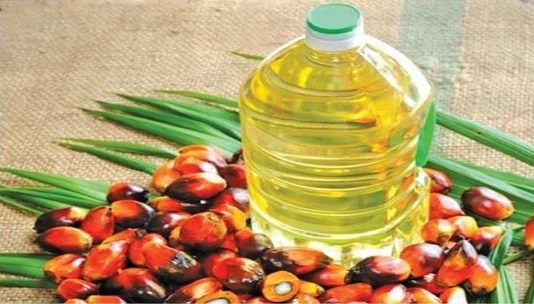 Palm Oil
