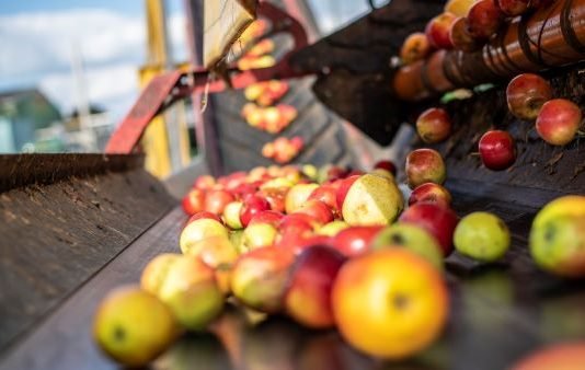 Gea and Better Juice — lower-sugar fruit drink Gea