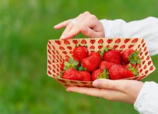 hubergroup launches sheetfed offset ink series for direct food contact
