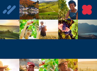 All4Labels has launched a campaign to develop the wine and spirits sector sustainably