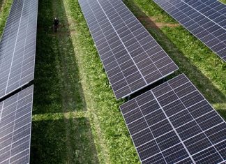Husqvarna has received funds from the government for its pilot project for electrified vegetation maintenance in solar parks
