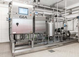 Gea