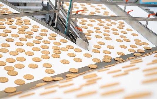 Syntegon cookies DCS