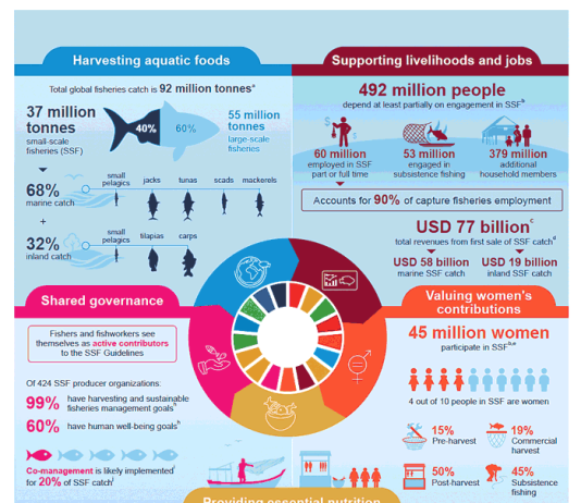 Illuminating Hidden Harvests, FAO report