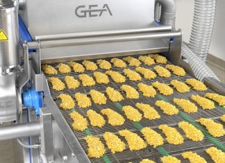 Gea