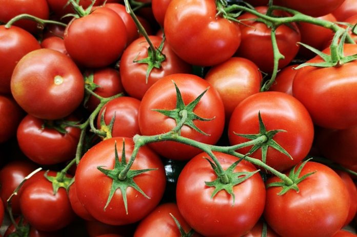 tomatoes tomatoes