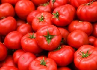 Tomatoes