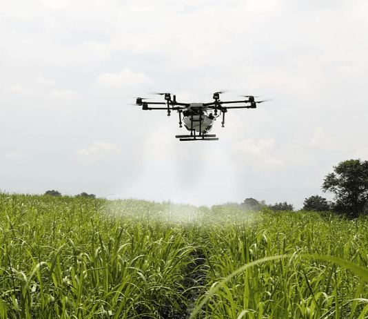 Roughly 20% of global seaborne fertilizer exports originate from the Arabian Gulf.