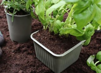 bioplastics