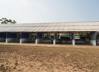 Sabarkantha