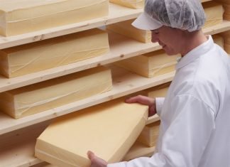 cheese