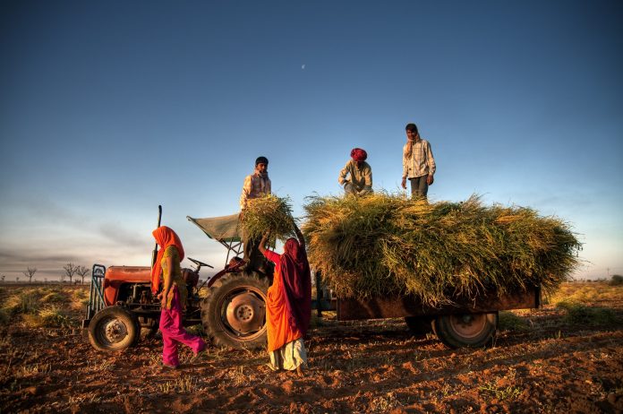 India Farming FAO’s 'The Unjust Climate' report released last year shows poor households globally lose 5% of their income due to heat stress and 4.4% due to floods annually, compared to better-off households.