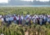ICRISAT