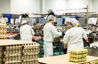 16 LEIBINGER JET2 NEO on the MOBA sorters ensure that the best-before date and batch number are printed on the egg cartons. egg