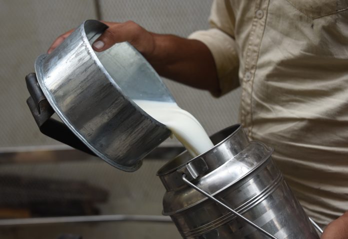 dairy