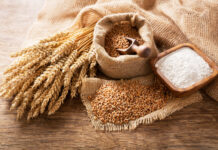 Wheat