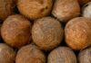 Malabar Coconut Products