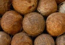 Malabar Coconut Products