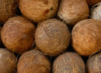 Malabar Coconut Products