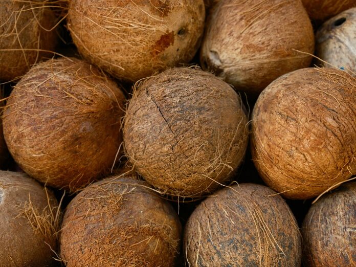 engin-akyurt-kyw6ywCu7qg-unsplash Malabar Coconut Products