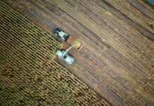 agriculture