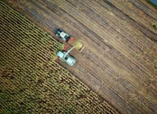 agriculture