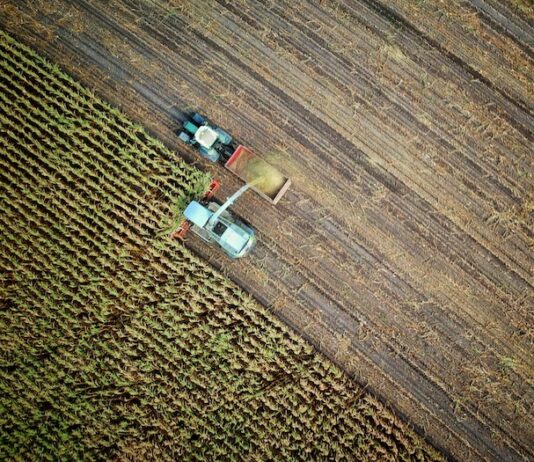 agriculture