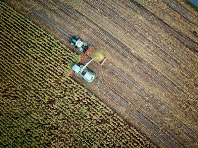 agriculture