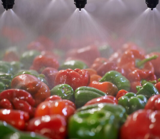 Innovation and tech for scaling the vibrant Indian food industry food