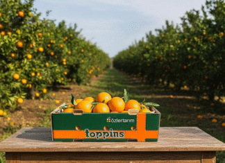 Reducing food waste with smart packaging food waste