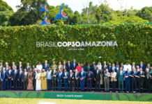 COP30 Brazil — Focus on efficient food systems COP30